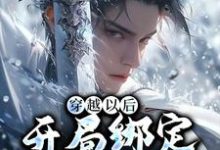 穿越以后,开局绑定反派系统这本小说怎么样?免费在线阅读试试-个性文学