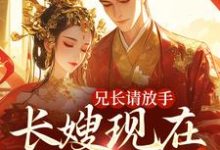 兄长请放手，长嫂现在爱慕臣弟小说最新更新在哪里？免费在线看-个性文学