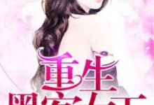 已完结小说《重生黑客女王》章节免费阅读-个性文学