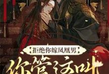 小说《拒绝你嫁凤凰男,你管这叫恶人?》在线章节阅读-个性文学