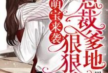 小说《萌宝来袭，总裁爹地狠狠宠！》章节免费阅读-个性文学