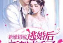 主人公叫宋蕴蕴江曜景的小说哪里免费看-个性文学