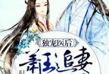 独宠医后：萧王追妻路漫漫最新章节，独宠医后：萧王追妻路漫漫免费阅读-个性文学