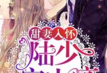 甜妻入怀：陆少，宠上瘾！小说，甜妻入怀：陆少，宠上瘾！章节在线阅读-个性文学