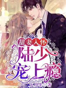 甜妻入怀：陆少，宠上瘾！小说，甜妻入怀：陆少，宠上瘾！章节在线阅读