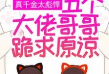 小说《真千金太彪悍，五个大佬哥哥跪求原谅》在线章节阅读-个性文学