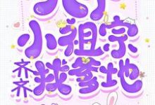 完结版《八个小祖宗齐齐找爹地》在线免费阅读-个性文学