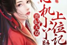 贵妃无双:心机小丫鬟上位记最新章节,贵妃无双:心机小丫鬟上位记章节在线阅读-个性文学