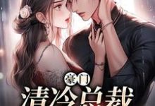 豪门:清冷总裁放肆宠小说完结版章节免费阅读-个性文学