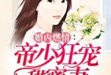 小说《婚内燃情：帝少狂宠甜蜜妻》在线章节阅读-个性文学