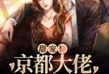 祝京棠靳泊谦为主角的小说叫什么?免费看甜宠!京都大佬狂宠小白狐-个性文学