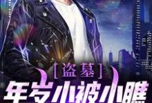 在线寻找苏洛的小说，盗墓：年岁小被小瞧？让你大开眼界！免费阅读-个性文学