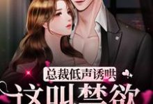 主角叫傅砚霆温书窈小说总裁低声诱哄，这叫禁欲淡漠？章节免费阅读-个性文学