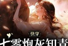 快穿：七零炮灰知青的逆袭之路小说，快穿：七零炮灰知青的逆袭之路章节在线阅读-个性文学