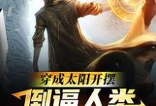 穿成太阳开摆,倒逼人类逃离太阳系这本小说在哪里可以看?哪里有免费试读章节?-个性文学