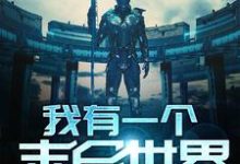 已完结小说《我有一个末日世界》最新章节-个性文学