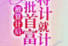 完结版《被算计后，疯批首富将计就计了》章节目录在线阅读-个性文学