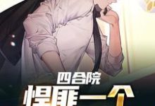 主人公张朝阳傻柱小说四合院:悍匪一个,谁都别惹我在线章节阅读-个性文学