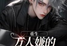 重生:万人嫌的小少爷逆袭了小说的免费电子版在哪里可以下载或阅读?-个性文学