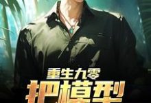 重生九零:把模型改成战机小说全文哪里可以免费看?-个性文学