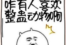 林枫小团子的故事在哪本书里?免费阅读沙雕:谁懂!咋有人喜欢整蛊动物啊-个性文学