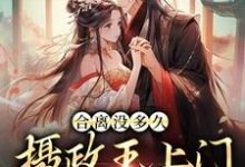 完结版《合离没多久,摄政王上门求给名分》章节阅读-个性文学