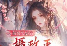 假装失忆后,摄政王重新爱上她小说,假装失忆后,摄政王重新爱上她沈青棠墨允宸-个性文学