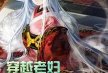 小说《穿越老妇：我累了，求躺平！》在线章节阅读-个性文学