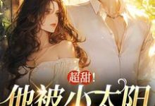 宋衾苒陆铖禾的故事在哪本书里？免费阅读超甜！他被小太阳女友救赎了-个性文学