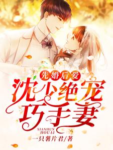 沈少南冷绝心的小说在哪里看？免费在线阅读先婚后爱：沈少绝宠巧手妻