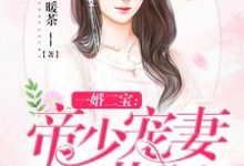 主人公叫林羞寒蔺君的小说哪里免费看-个性文学