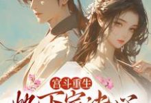 小说《宫斗重生:她下定决心远离恋爱脑》在线章节阅读-个性文学