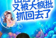 凤郁商沉婳小说《呜！出逃小人鱼又被大疯批抓回去了》在线阅读-个性文学