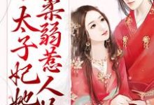 主角叫慕梓寒周璟小说甜蜜宠爱:太子妃她柔弱惹人怜章节免费阅读-个性文学