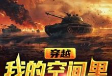 已完结小说《穿越,我的空间里有海量武器》在线章节阅读-个性文学