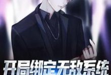 开局绑定无敌系统，我在四合院整活小说完结版章节免费阅读-个性文学