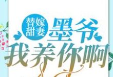 《替嫁甜妻：墨爷，我养你啊》小说章节列表免费试读， 夏汐梓墨凛小说在线阅读-个性文学