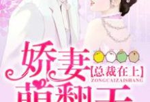 完结版《总裁在上：娇妻萌翻天》章节阅读-个性文学