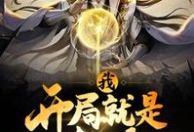 我，开局就是大帝小说最新章节在哪里可以读到？-个性文学