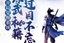 小说《开局觉醒系统,综武秘籍我过目不忘》章节免费阅读-个性文学