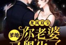 寻找能够免费阅读龙凤双宝：爹地，你老婆又黑化了小说的平台-个性文学