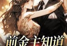 哪里可以免费读到霍霆御许意的完整故事?寻找前金主知道我有新欢后-个性文学