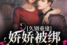 宋煜北向枳的完整故事在哪里?读久别重逢:娇娇被绑去了民政局小说-个性文学