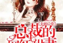 先婚后爱：总裁的网红甜妻许明镜梁境泽郭佳佳迈巴赫，先婚后爱：总裁的网红甜妻在线无弹窗阅读-个性文学