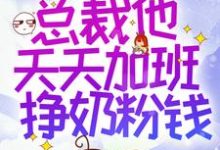 穿书后,总裁他天天加班挣奶粉钱小说,穿书后,总裁他天天加班挣奶粉钱免费阅读-个性文学