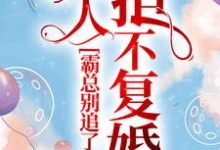 小说《霸总别追了，夫人拒不复婚》章节免费阅读-个性文学