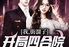 在线寻找我,街溜子,开局四合院全员无好人小说的无删减版本-个性文学