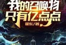 网游：我的召唤物只有亿点点小说的所有章节都能在哪里免费读到？-个性文学