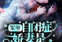 军爷,自闭症娇妻是科研巨能叶暮小说在线章节目录阅读最新章节-个性文学