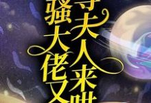 主人公沈月瑶鹤云行小说闷骚大佬又在等夫人来哄在线章节阅读-个性文学